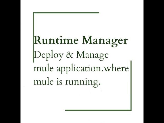 Runtime Manager