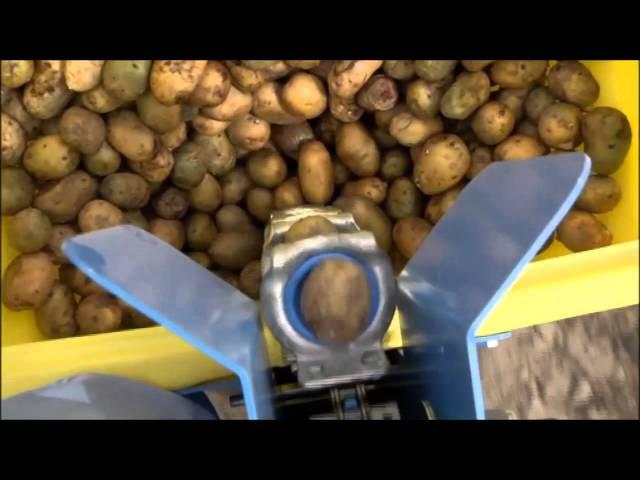Spedo Potato Planter available at Everything Attachments