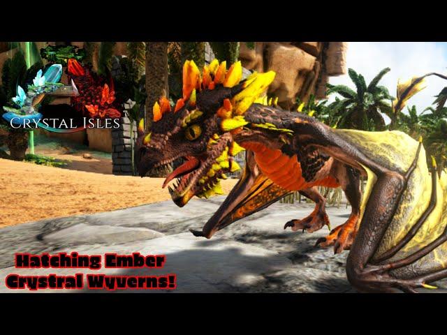 How To Tame The Ember Crystal Wyvern! Ark Crystal Isles DLC