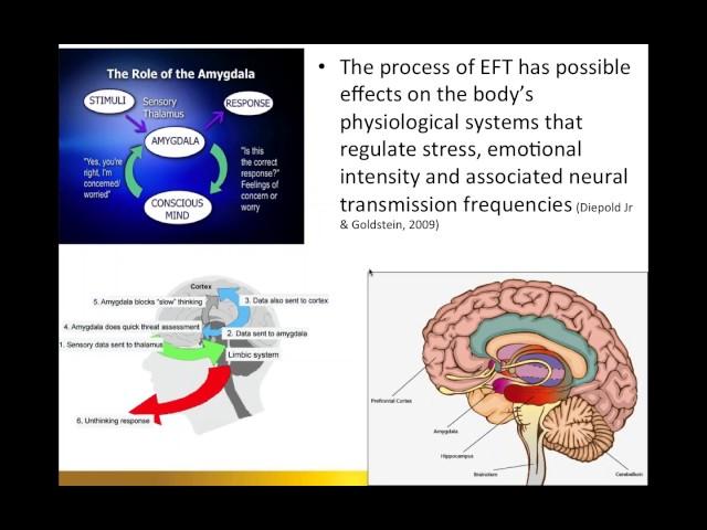 Australian Psychological Society Webinar - Tapping for Obesity in Adults