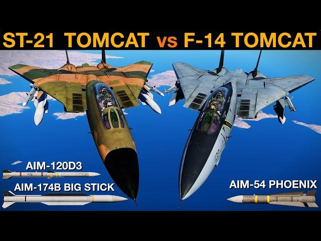 ST-21 With AIM-174B vs F-14 Tomcat With AIM-54 Phoenix | DCS