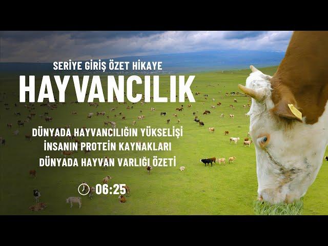 Hayvancılık Serisi Giriş