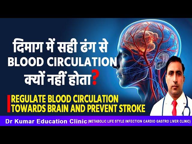 दिमाग में सही ढंग से blood circulation क्यों नहीं होता?//Regulate Blood circulation & prevent stroke