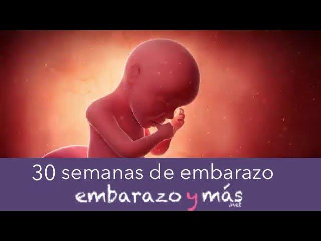 30 semanas de embarazo - Séptimo mes - EMBARAZOYMAS