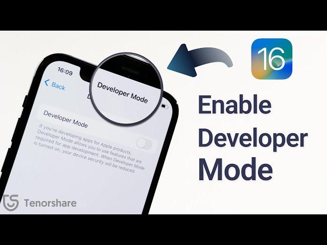 How to Enable iPhone Developer Mode on New iOS 18/17/16 - 2 Ways in 2024