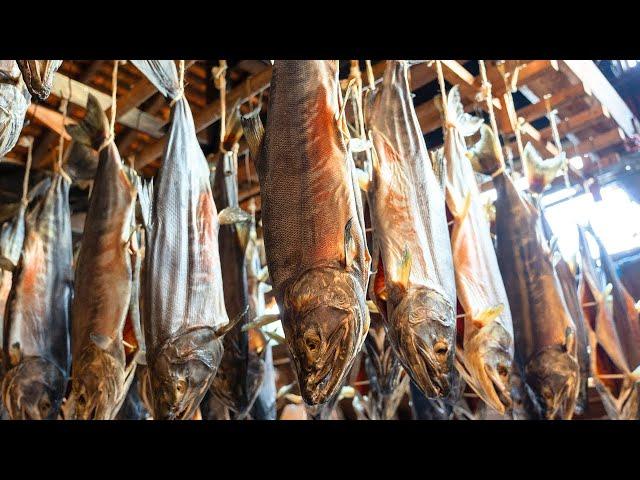 How to make the traditional Salted Aged Salmon that has been handed down for 1,000 years in Japan