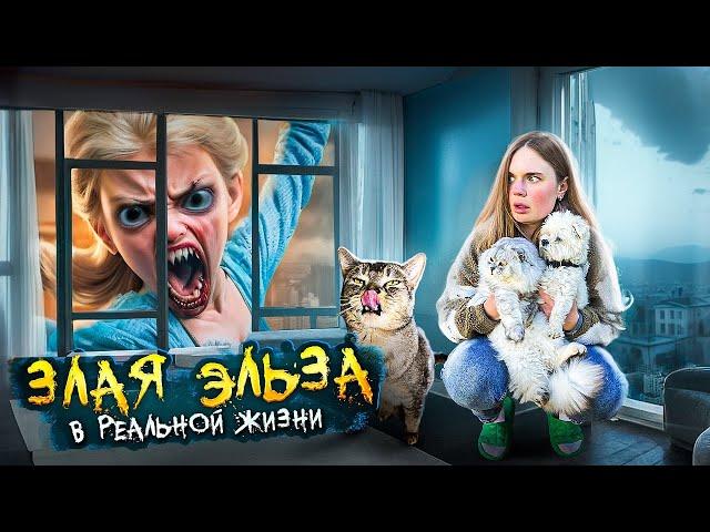 ЗЛАЯ ЭЛЬЗА В РЕАЛЬНОЙ ЖИЗНИ | ЗАСТРЯЛИ В ПОДЪЕЗДЕ НА 24 ЧАСА С КОТОМ И СОБАКОЙ