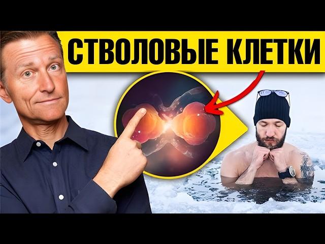 7 способов стимуляции стволовых клеток без походов в клинику