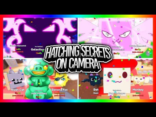 HATCHING ALL SECRETS ON CAMERA*Crazy Compilation*KING DOGGY/GALACTICORN(BubbleGum Clicker)