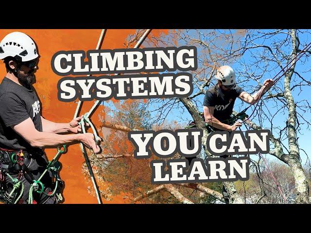 6 Different Tree Climbing Systems Demonstrated - 2024