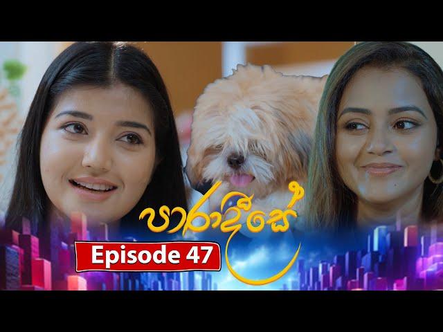 Paradeese | Episode 47 - (2024-10-02) | ITN