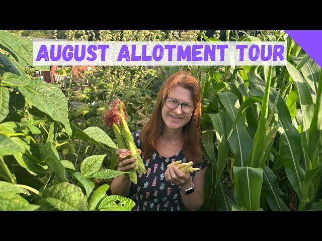 August Allotment Tour - Allotment Gardening For Beginners UK