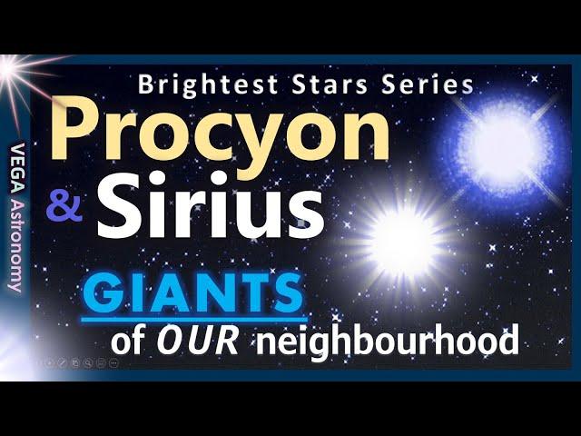 Procyon & Sirius: GIANTS of Our Neighbourhood