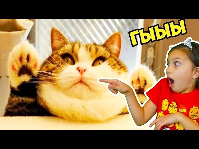 КОТЫ ПАДУНЫ! ЛУЧШИЙ НЕ ЗАСМЕЙСЯ ЧЕЛЛЕНДЖ с КОТАМИ! Попробуй не засмеяться Валеришка ТЕСТ на психику