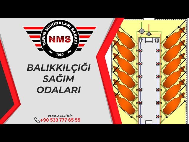 BALIKKILÇIĞI SAĞIM ODALARI