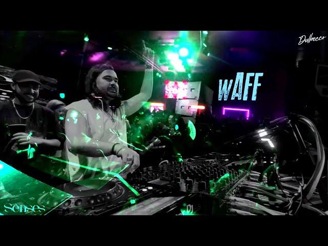 wAFF at SENSES, San José, Costa Rica, Dec 2023 - Shot by Dulbecco | FREE SHOTS #43