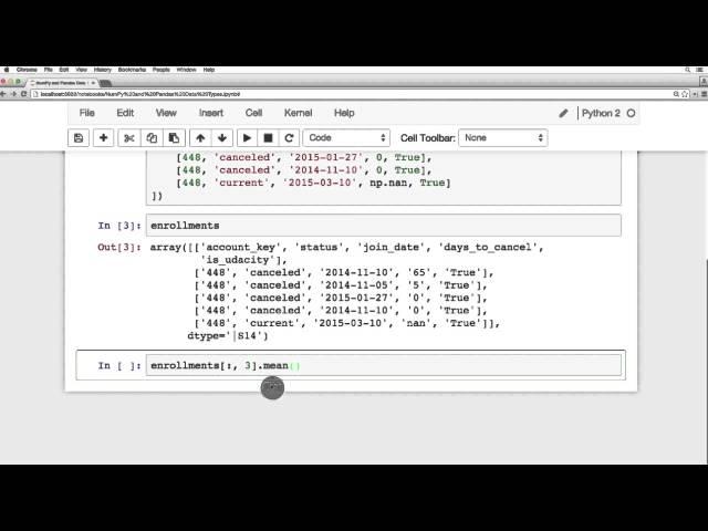 NumPy and Pandas Data Types