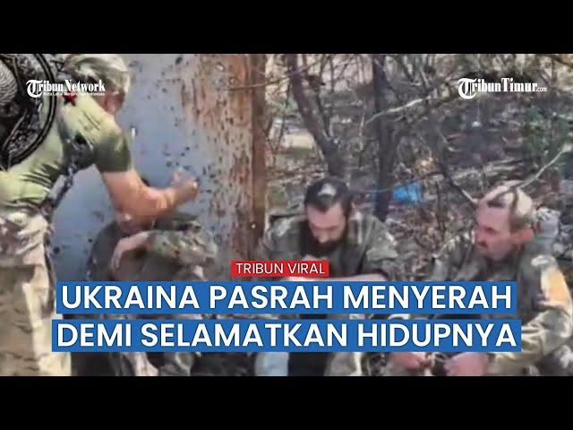 Beginilah Wajah Sekelompok Tentara Ukraina yang Ditahan, VIRAL!!