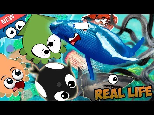 Mope.io But in REAL LIFE!?! Mopeio ALL UNBELIEVABLE EPIC SEA GAMEPlAY  & UNSEEN BEFORE ANIMALS!!!