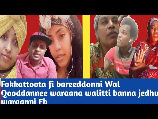 Fokkattoonnii fi Bareeddoonni wal Qooddannee Dhukkee walirraa kaafna jedhu waraanni Fb