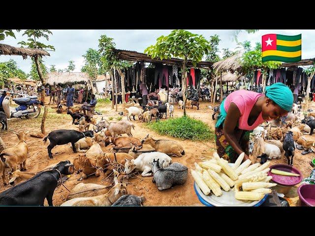 Rural village market day in Togo west Africa. The cost of living in an African village.