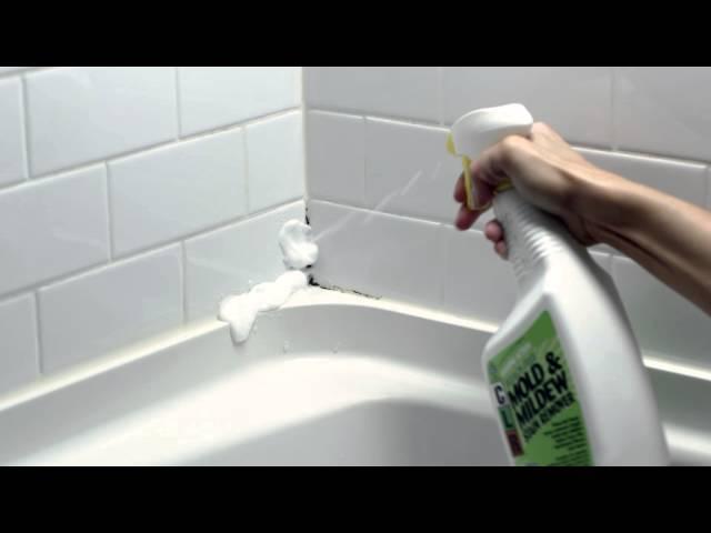 CLR Mold & Mildew Stain Remover