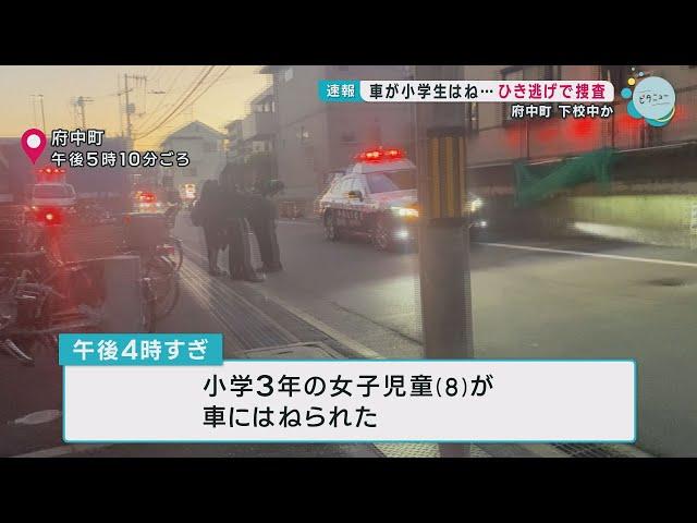 女児が車にひかれる 警察はひき逃げ事件として捜査