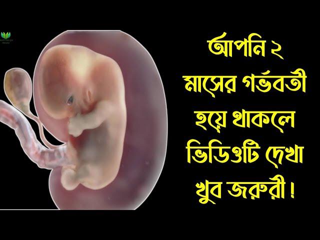 গর্ভাবস্থার ২য় মাসে কি কি ঘটে? || আপনি ২ মাসের গর্ভবতী হয়ে থাকলে ভিডিওটি অবশ্য দেখুন! খুব জরুরী!