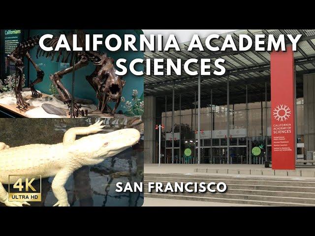 Exploring California Academy of Sciences Museum San Francisco 4K