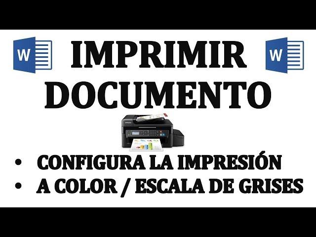 Como imprimir un documento y configurar impresión. Imprimir a color, escala de grises.