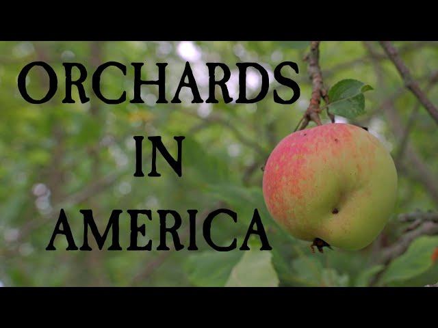 Orchards in Early America - In The Nutmeg Tavern!