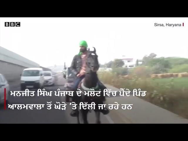 Horse ride Baba stud farm Alamwala to delhi Kisan eakta jindabad