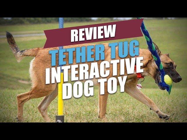 Tether Tug Interactive Dog Toy Review