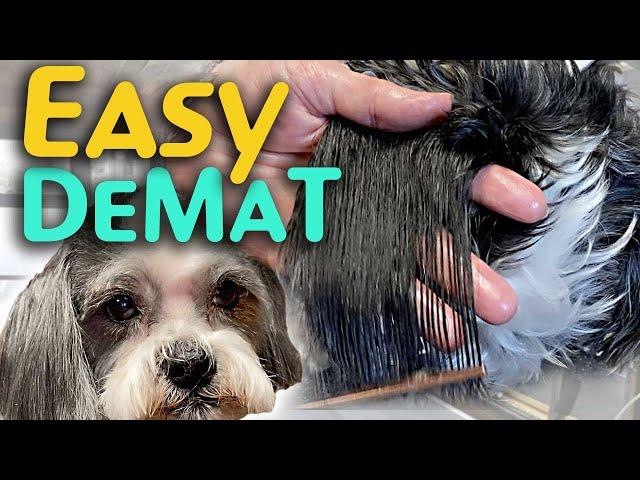 2 EASY WAYS to De-Mat your DOG at home NATURALLY