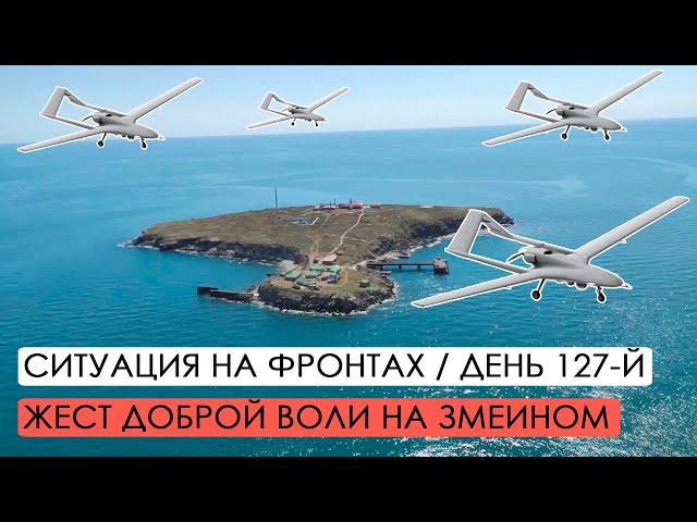 Война. 127-й день. Ситуация на фронтах. Жест доброй воли на Змеином.