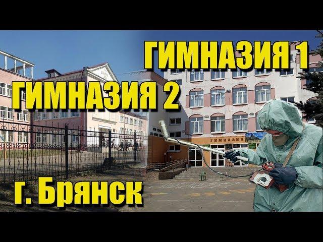 Гимназия 1 и Гимназия 2 г. Брянск. Есть ли радиация?