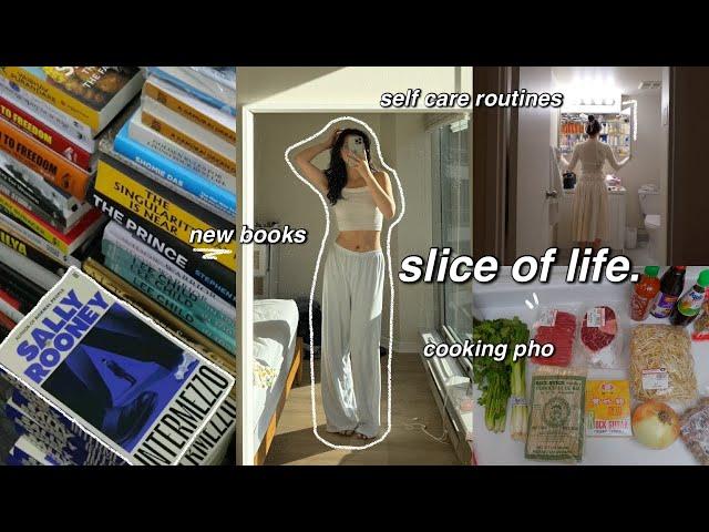 introvert diaries | productive days in my life: home cooking, deep cleaning & self care routines 