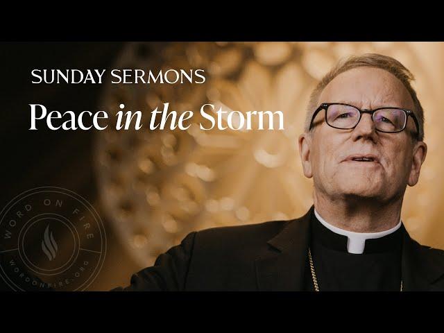 Peace in the Storm - Bishop Barron's Sunday Sermon