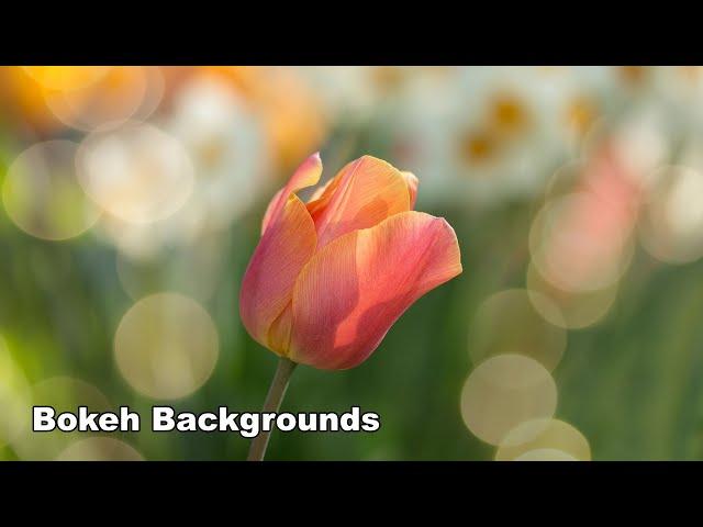 How to Paint Bokeh Backgrounds - Acrylic Real Time Paint Along