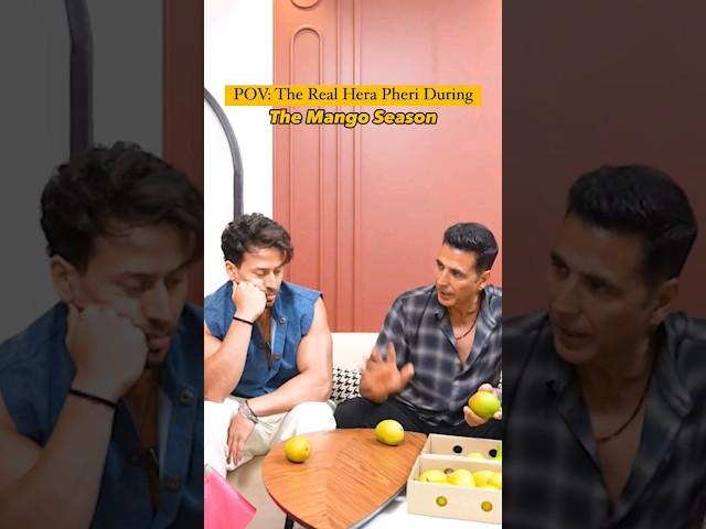The Real Hera Pheri During The Mango Season Ft. Akshay Kumar & Tiger Shroff | Curly Tales #shorts