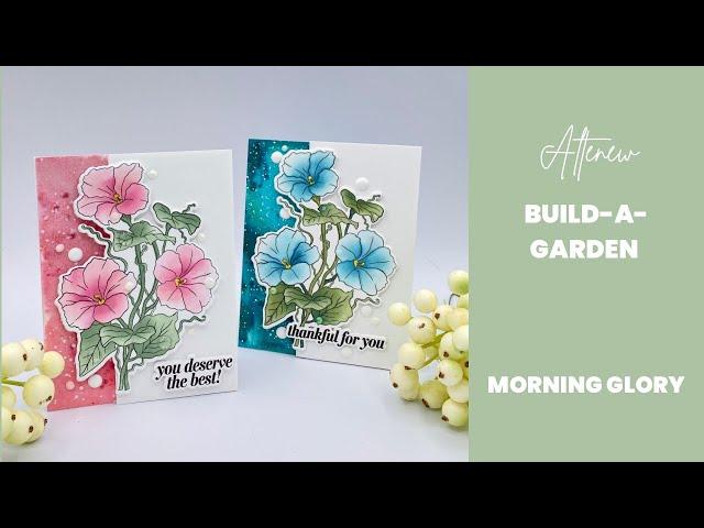 Altenew’s Build-A-Garden for April … Morning Glory