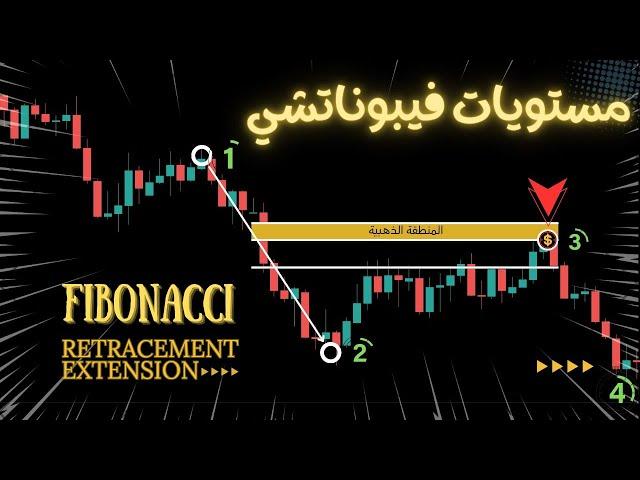 FIBONACCI  فيبوناتشي : 3 إستراتيجيات تداول متقدمة