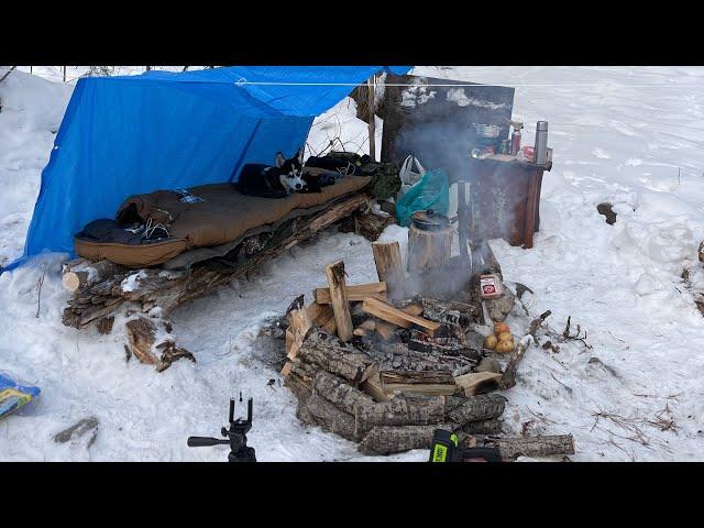 Один в зимнем лесу в -35. Ночевка в лесу. Лесной шалаш. Тайга. Уехал с хаской в лес….