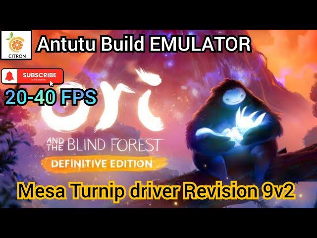 20-40 FPS | Ori And The Blind Forest | Citron Emulator on android.