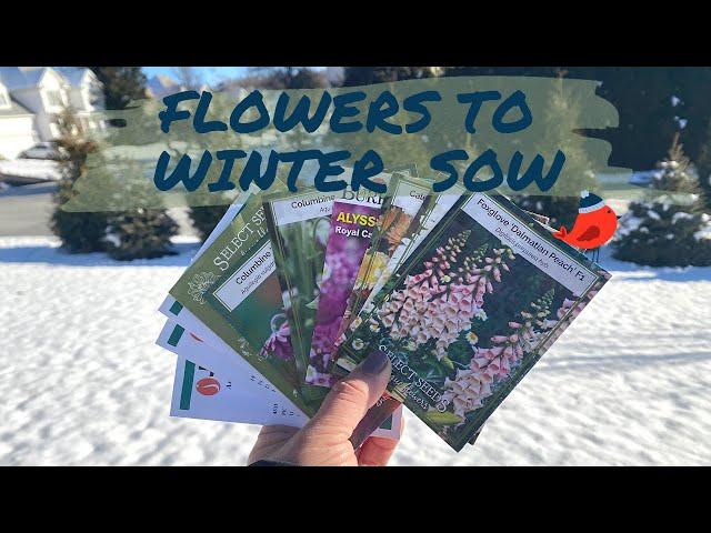 Flower Seeds for Winter Sowing - What I’m Winter Sowing in 2022