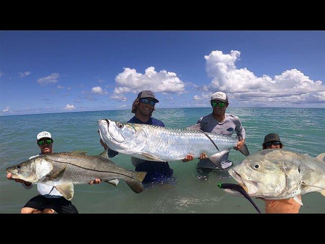 MULLET RUN MADNESS!!! Florida Mullet Run 2021 (tarpon, snook, jack)