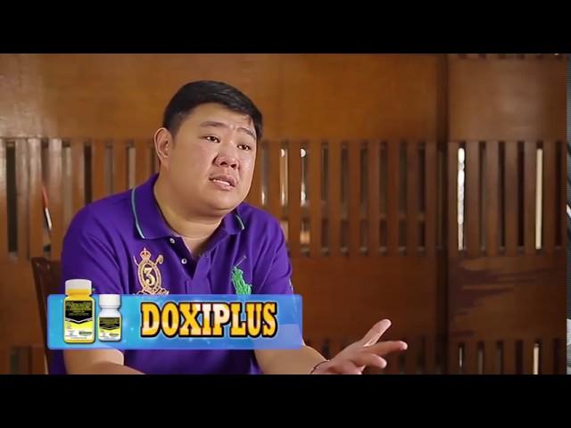 Alagang Magaling S6 EP10   PIGEON RACING 101 CONDITIONING WITH EGAY YAP