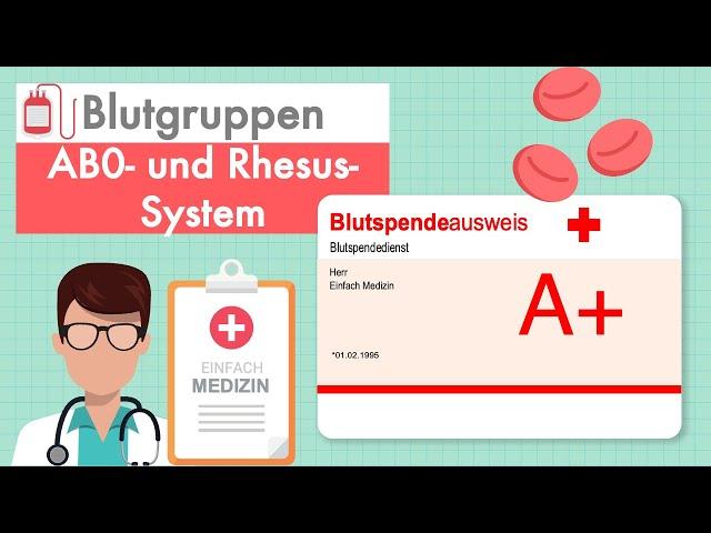 Blutgruppen - AB0- und Rhesus-System einfach erklärt