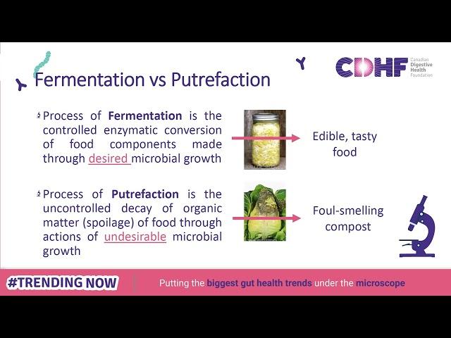 Demystifying the Art and Science behind Fermented Foods