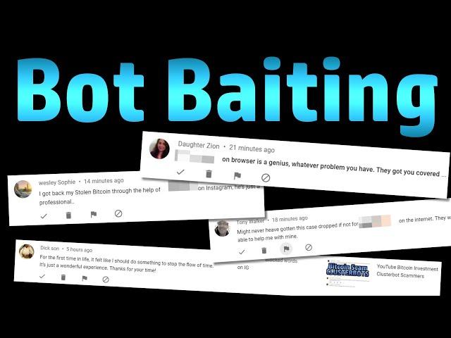 Baiting the Bots - an Investigation of the Ubiquitous YouTube Spambots